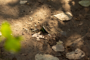 Glass waste left on the forest ground among leaves. Improper disposal increases the risk of wildfires and endangers wildlife.