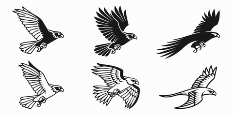 Fototapeta premium Six Stylized Falcon or Hawk Flying Silhouettes