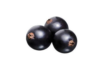 Black currant  berry close-up.