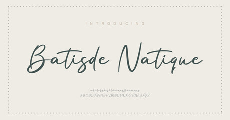 Batisde Natique signature Font Calligraphy Logotype Script Brush Font Type Font lettering handwritten
