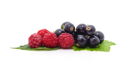 Ripe raspberries and black currants.