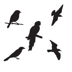 Obraz premium birds set silhouette, on white background, vector, isolated
