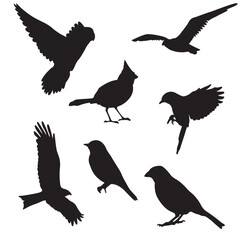 Obraz premium bird silhouette illustration set
