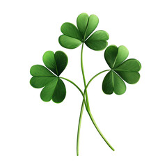 Green clover plant with three leaves