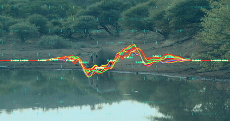 Analyzing rhinoceros drinking at grassland waterhole, waveform overlay, readouts, grid markers