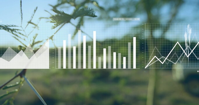 Overlaying semi-transparent bar chart on plant branch in farmland with line graph and timestamp