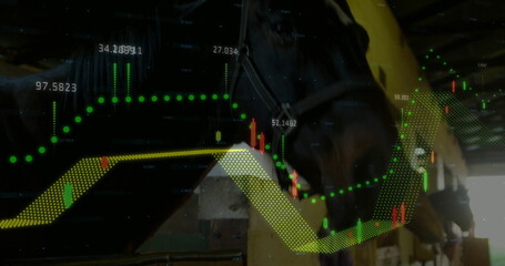 Standing horse head wearing halter in wooden stall with metal bars and trading charts, copy space