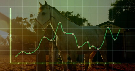 Standing horse wearing halter by fence-post in paddock, with grid-overlay green line-chart and axes