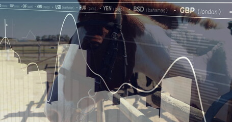Standing horse wearing bridle bit behind fence rails in paddock, showing charts and currency ticker