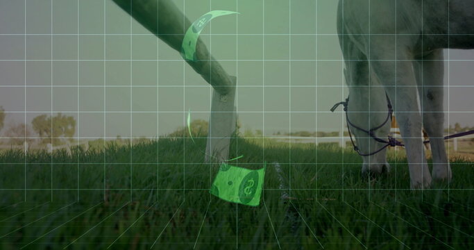 Grazing adult goat nibbling in farm field, with rope halter and floating digital tokens, copy space