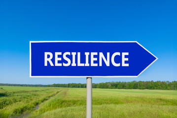 Resilience symbol. Concept word Resilience on beautiful blue road sign. Beautiful blue sky green grass and forest peaceful nature background. Business resilience concept. Copy space.