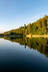 reflection of trees in the lake