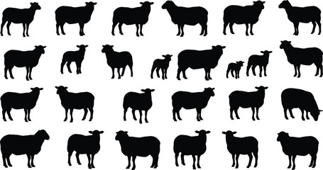 Farm sheep silhouette vector collection, black livestock illustrations for agriculture, animal farming, wool industry, rural scene, or domestic animal design © Masum Creatives