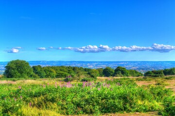 Quantock Hills view of Somerset countryside and green fields towards Taunton England UK
