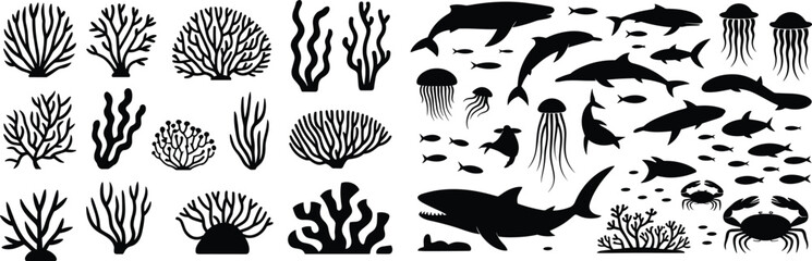 Sea life vector set with coral, dolphins, sharks, jellyfish, fish, and crabs in silhouette style for marine, ocean-themed design projects © Masum Creatives