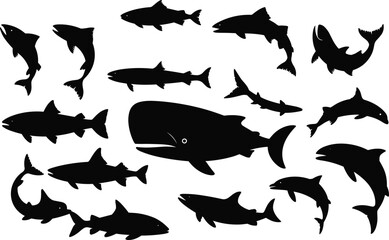 Vector illustration of whale, dolphins, and fish silhouettes, perfect for marine wildlife themes, aquatic life designs, educational resources, and ocean-themed projects