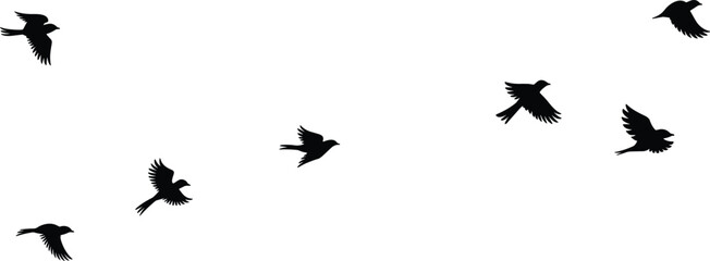 Flying bird silhouettes, flock of small birds in motion, black and white vector illustration, isolated on white background, nature and freedom concept.