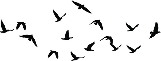 Flying bird silhouettes collection, flock of birds in motion, black vector design ideal for wildlife themes, sky scenes, freedom concepts, and nature illustrations