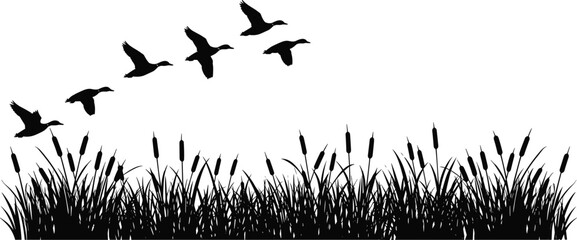 Flying ducks over marsh grass, vector illustration in black silhouette style, perfect for nature themes, wildlife backgrounds, rural scenery, and wetland concepts