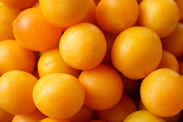 Ripe yellow cherry plums as background, closeup