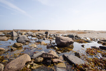Rocky beach at Seahouses, Northumberland, UK