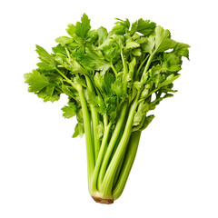 Fresh bunch of crisp green celery stalks ready for culinary use healthy vegetable food ingredient transparent background
