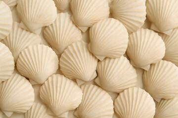 A close up overhead view of many light beige scallop shells
