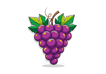 Vibrant, cartoon-style illustration of a bunch of purple grapes with stylized leaves and stems against a black backdrop.