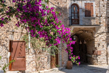 Chios Island, Greece. Blooming bougainvillea at a narrow coblestone alley, Mesta medieval village