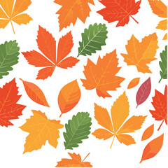 autumn, leaf, maple, leaves, fall, nature, vector, tree, season, orange, pattern, yellow, plant, color, oak, seamless, illustration, foliage, design, wallpaper, red, brown, decoration, colorful, set
