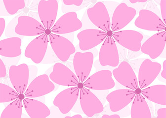 seamless pattern with white pink flowers cherry blossom shadow with background vector