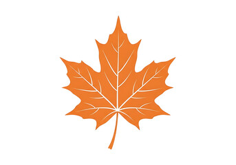Fototapeta premium Vivid orange maple leaf design against a dark background.