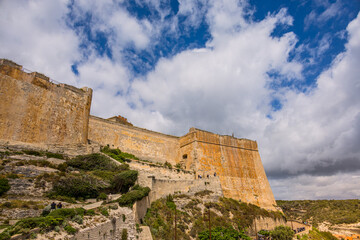 Fototapeta premium La forteresse de Bonifacio et ses falaises de calcaire en Corse du Sud en France