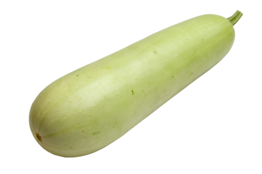 Bottle Gourd Png – Fresh Bottlegourd Vegetable Isolated On Transparent Background,