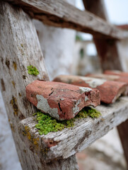 Fototapeta premium Weathered wood and bricks with moss growing in outdoor scene.