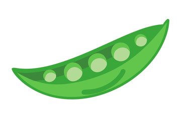 Fresh green pea pod with round peas inside on a black background