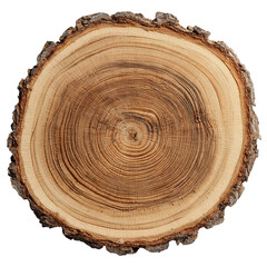 Fototapeta premium Natural wood slice cross-section with visible growth rings and bark edge, isolated on transparent background. 