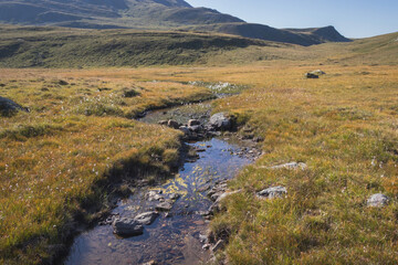 Ruisseau de montagne dans les Alpes en Savoie