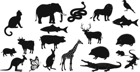 Silhouette, animals, cat, elephant, snake, lion, bird, fish, deer, cow, pig, butterfly, kangaroo, giraffe, crocodile, hedgehog, frog, mouse, wildlife, black, white, illustration, collection