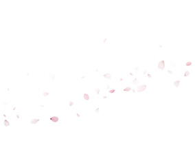 Diagonal Sakura Petals Vector With Soft Falling Pink Petals For Spring Mood
