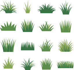 Fototapeta premium Collection of sixteen different green grass tufts on white background
