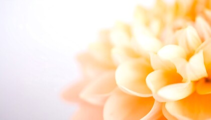 Soft focus of peachy-orange dahlia petals