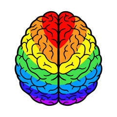 human brain colored in the stripes of the rainbow pride flag, diversity brain illustration