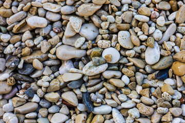 Sea pebbles and stones close-up