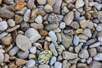 Sea pebbles and stones close-up