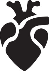 Obraz premium Anatomical Heart Icon,Human Heart,Cardiac Muscle Line and Silhouette Color Icon Set. Medical Cardiology Pictogram.Collection on White Background.Real human heart organ icon.medical icon