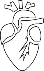 Obraz premium Anatomical Heart Icon,Human Heart,Cardiac Muscle Line and Silhouette Color Icon Set. Medical Cardiology Pictogram.Collection on White Background.Real human heart organ icon.medical icon