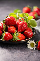 Red ripe strawberries berries. Dark background