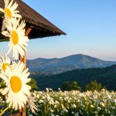 Daisies and mountains at dawn