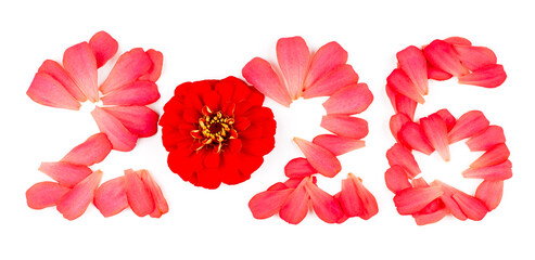 Plakat Beautiful flowers on white background. New year 2026 made of flowers on the white background.